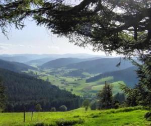 Puzle Údolí v Schwarzwald, Německo