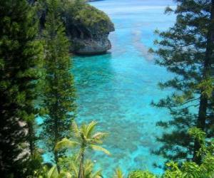 Puzle Útesy a ekosystémy, francouzské souostroví Nová Kaledonie, který se nachází v Tichém oceánu.