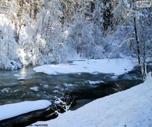 Puzle Řeka v zimě