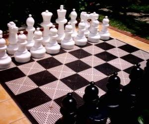 Puzle Šachovnice se umístí všechny kusy začít hru