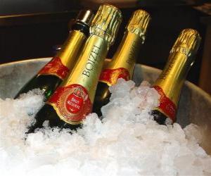 Puzle Šampaňské (nebo sekt), francouzské šampaňské, je druh šumivého vína vyrobeného metodou champenoise v oblasti Champagne ve Francii.