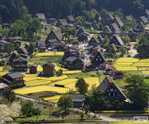 Puzle Širakawa-gó, Japonsko