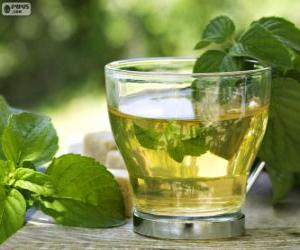 Puzle Šálek zeleného čaje