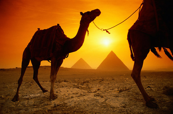 egypt pyramidy a velbloudi puzzle